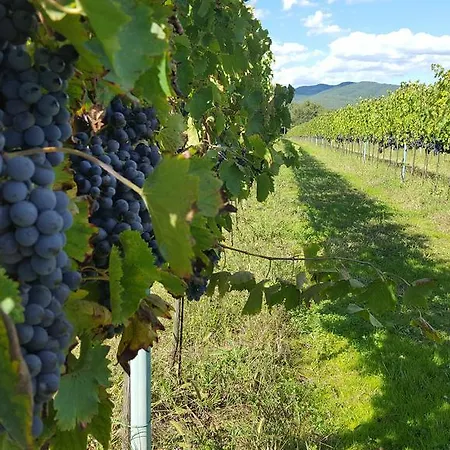 Podere Buriano Apartamento Arezzo